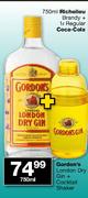 Gordon's  London Dry Gin + Cocktail Shaker-750ml