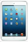 Apple iPad Mini 32GB With Wi-Fi+Cellular.
