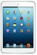 Apple iPad Mini 64GB With Wi-Fi.