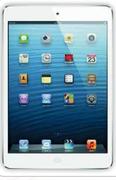 Apple iPad Mini 16GB With Wi-Fi+Cellular.