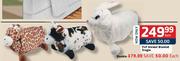 Pnp Animal Blanket Single - Each