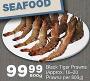 Black Tiger Prawns(Approx. 16-20 Prawns)-800gm