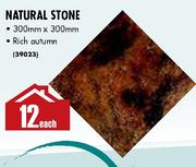 Natural Stone-300mm x 300mm Each