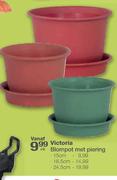 Victoria Blompot Met Piering-15cm