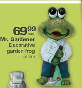 Mr.Gardener Decorative Garden Frog-50cm