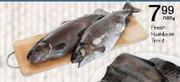 Fresh Rainbow Trout-100gm