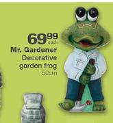 Mr.Gardener Decorative Garden Frog-50cm Each