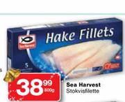 Sea Harvest Hake Fillets-800g