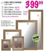 Camel Dress Mirror-1340x486mm