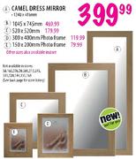 Camel Dress Photo Frame-300x400mm