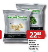 Nature's Garden Broccoli Or Cauliflower Florets-1Kg Each