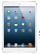 iPad Mini With Wi-Fi And Cellular-64GB 