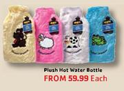 Plush Hot Water Bottle Each