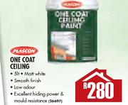 One Coat Ceiling Paint-5Ltr