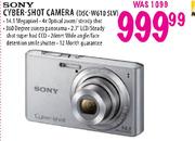Sony Cyber-Shot Camera(DSC-W610 SLV)