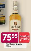 Olof Bergh Brandy-750ml