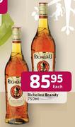 Richelieu Brandy-750ml Each