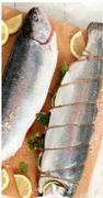 Fillets-100g