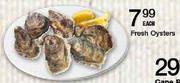Fresh Oysters-Each