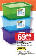 Addis Tinted Clearly Neat Storage Set Of 3-Blue, Green, Purple