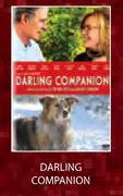 Darling Companion