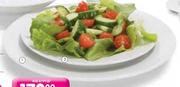 Aro Dinner Plate Per 6 Pack