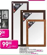 Framed Mirrors Dress Mirror-990x390mm