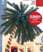 Palm Tree-2.1m Each
