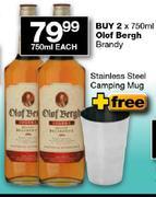 Olof Bergh Brandy-750ml Each Plus Free Stainless Steel Camping Mug