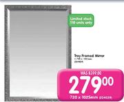 Troy Framed Mirror 720 x 1025mm