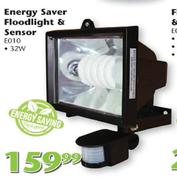 Energy Saver Floodlight & Sensor