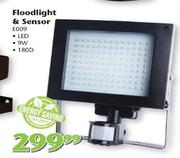 Floodlight & Sensor 