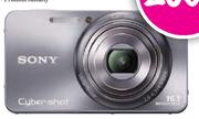 Sony Cyber Shot Digital Camera- (DSC-Wx7 SLV)