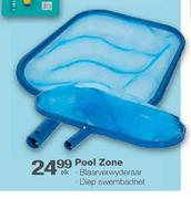Pool Zone Blaarverwyderaar/Diep Swembadnet-elk