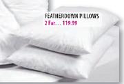 Feather Down Pillows-2's
