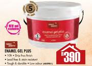 Fired Earth Enamel Gel Plus Paint-10Lt