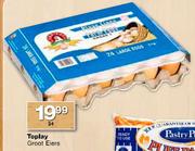 Toplay Groot Eiers-24's Pack