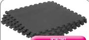 Trojan Interlocking Mats