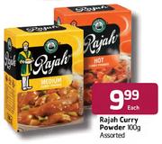 Rajah Curry Powder-100g Each