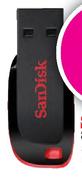 Sandisk 16GB Cruzer Blade-Each