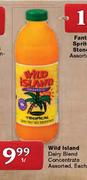 Wild Island Dairy Blend Concentrate-1L