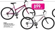 Totem XC100 Mountain Bike-Each