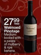 Welmoed Pinotage-750ml