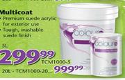 Plascon Multicoat-20L