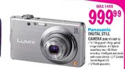 Panasonic Digital Still Camera (DMC-FS16EP-S)