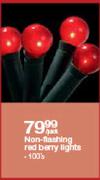 Non-Flashing Red Berry Lights-100's Per Pack