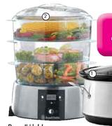 Russell Hobbs Satin Quartz Steamer-Each