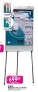Parrot Products Flipchart Plus Paper And Markers