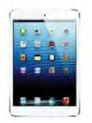 iPad Mini With Wi-Fi + Cellular-16GB