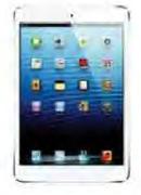 iPad Mini With Wi-Fi-32GB